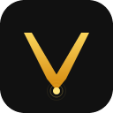 Vocalype logo